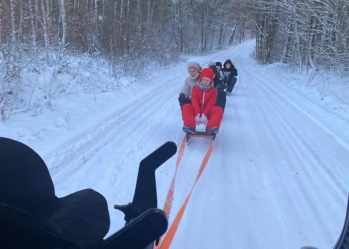 Sosnowe Zacisze Olsznowo